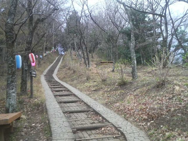 Ƃ񂳂̍O@R̃AWTC̓eʐ^3