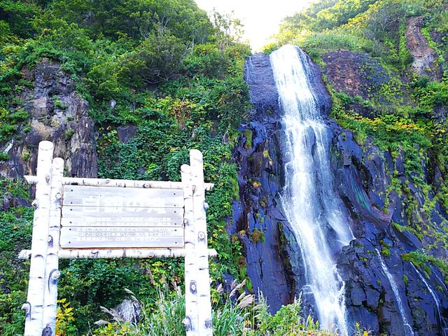 �Ŕ�_����̑�