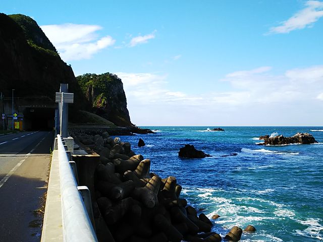 �C�ɓ˂��o���f�R_�Y�~��