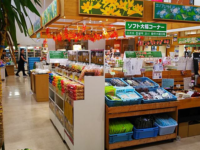 X̃\tg啟R[i[_̉wȂ ӂYف@̊蓹