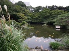 CI̓{뉀izej[I[^jjւ̓eʐ^1