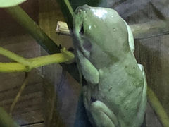 Kawazoo ̊^JGق̎ʐ^2