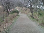 Ƃ񂳂̍O@R̃AWTC̓eʐ^2