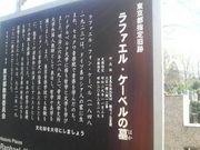 Ƃ񂳂̃t@GEP[x̓̕eʐ^1