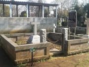 Ƃ񂳂̃t@GEP[x̓̕eʐ^2