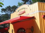 cinnamoñJtFڂ̓eʐ^1