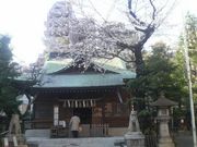 Ƃ񂳂̓Vc_Ђ̓eʐ^2