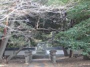 �L������̔��ˎ�ї��ƕ揊�i���V���@�揊�j�̓��e�ʐ^1