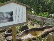 񂳂̌JƉ~u|Y@v̓eʐ^2