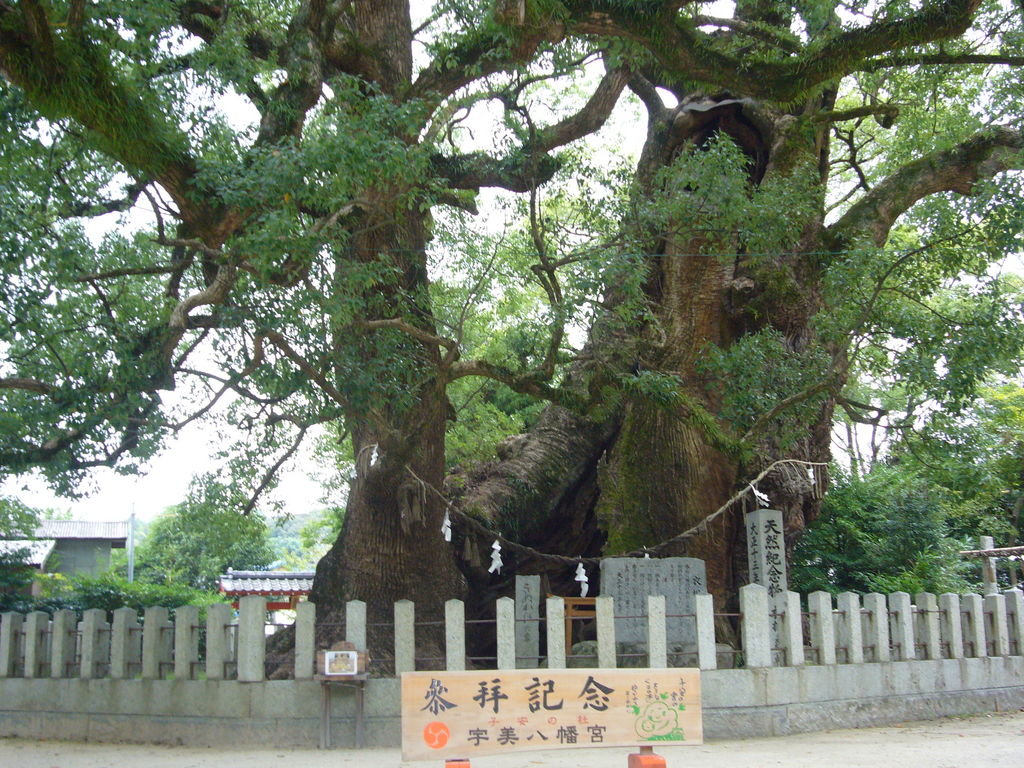 福岡の動物園 植物園ランキングtop10 じゃらんnet