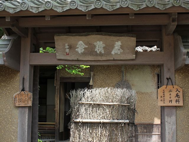 ���`�ɂ̓�����B_���`��