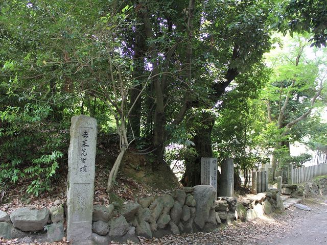 ����̒ʂ�ɂ���u�����搶���v�̔�B_���`��