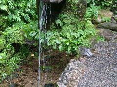 かっちさんの光前寺の延命水への投稿写真1