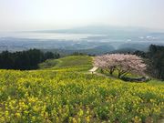 poporon̔ؕ􍂌̓eʐ^1