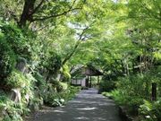 J̃ATqr[RRpق̓eʐ^1