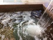 poporon̕ˉ򂤂œE̓eʐ^2