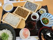 񂳂̐iXg ̋u̓eʐ^1