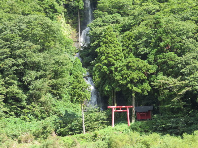 �܂��܂��D��_�����̑�