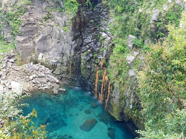 ����_�Y��̑�