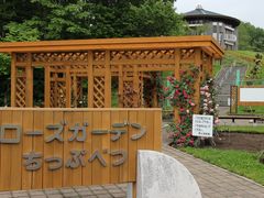 񂳂̃[YK[fՂׂւ̓eʐ^1