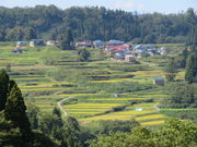 yosshy̎l̒Ic̓eʐ^1