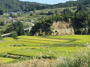 yosshy̎l̒Ic̓eʐ^2