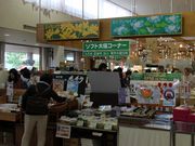 񂳂̓̉wȂ ӂYف@̊蓹̓eʐ^2