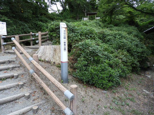 �{������