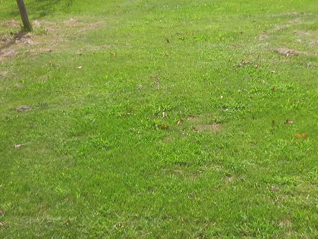 ނށAɊĂ悤__ސ쌧ԂƗ΂̂ӂꂠZ^[@ԍ؃K[f