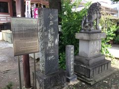 SAKURA̍ː_Ђւ̓eʐ^1