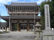 ߂ڂڂ̓ʉ@iÉʉ@j̓eʐ^2