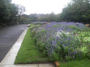 Ƃ񂳂̒vیssΉAilZ^[j̓eʐ^2