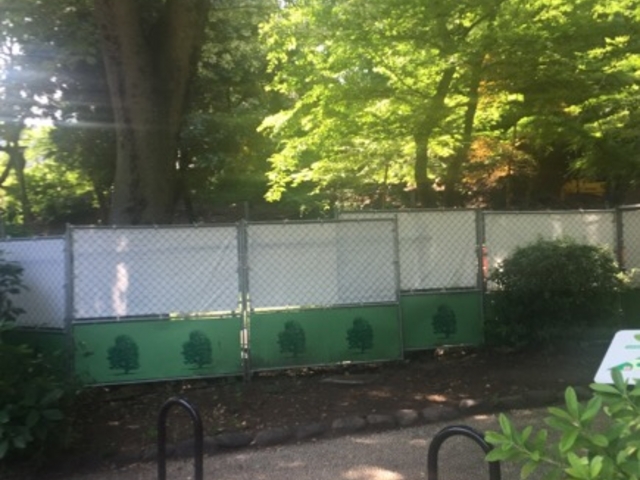 �H�����ł��B_�Ō������݂��J