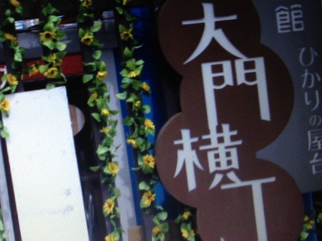 ����_�Ђ���̉����剡��