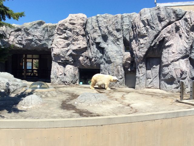 �������V���N�}_���R������