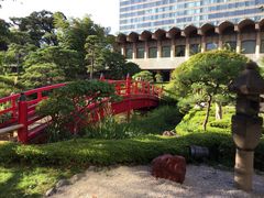 SKSY̓{뉀izej[I[^jjւ̓eʐ^1