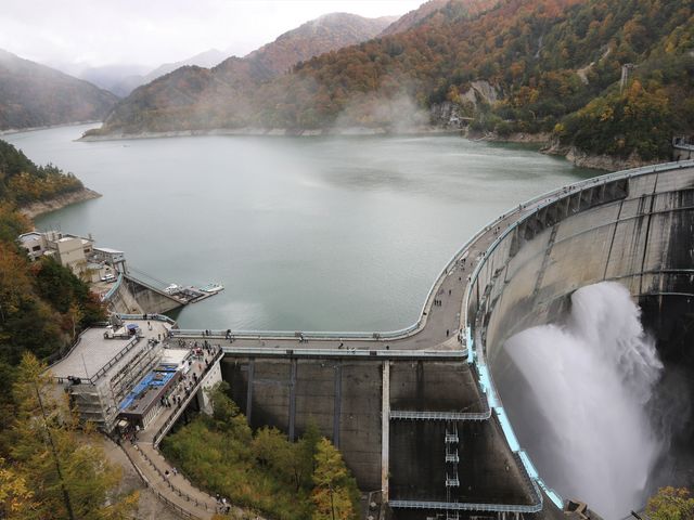 ���������X_�����_�� ���X