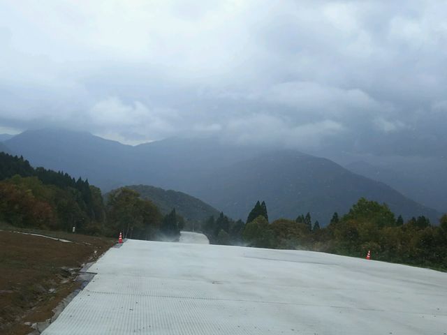 �T�}�[�Q�����f10�����{_������X�L�[��