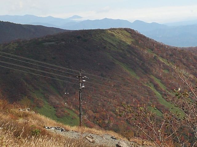 ���������R���̍g�t_�ߐ{���[�v�E�F�C