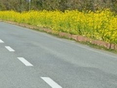 tXs[h̖[t[Cւ̓eʐ^1