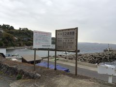 やよいさんの江之浦海水浴場の投稿写真1