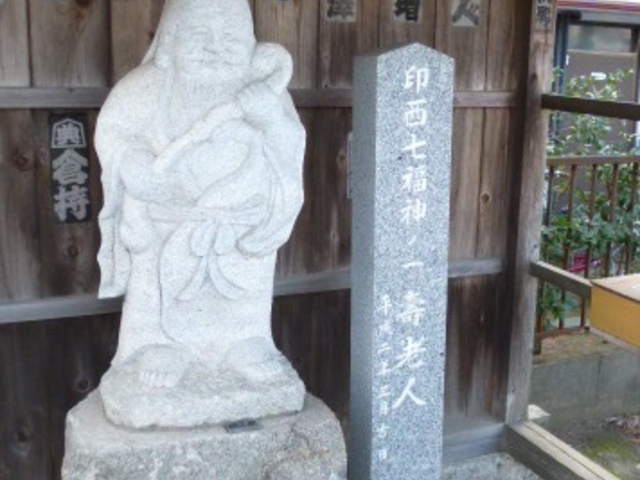 ���V�l�ł�_���񂴂������_�߂���