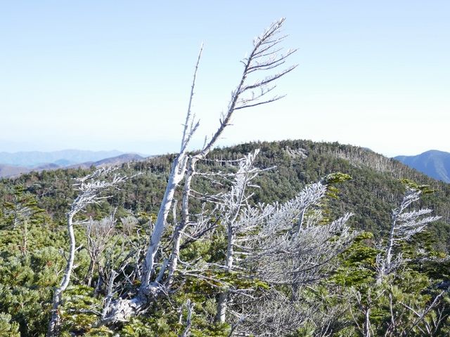 �k�����P�x�A�k���̏��~�̒���_�k�����x