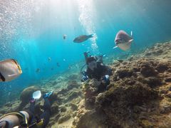 exeatushi̕ւ̓eʐ^1