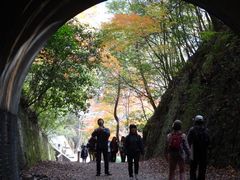 kiyohiko85jp����̂i�q���m�R���p���Ղւ̓��e�ʐ^1