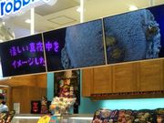 usa����̃T�[�e�B�����A�C�X�N���[�� �A���J�L�b�g�ю����X�̓��e�ʐ^1