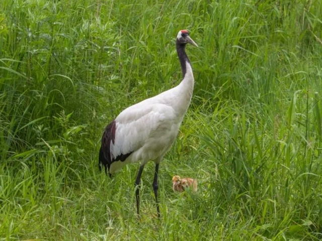 �O���ߎ��R����