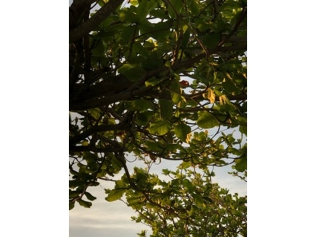 �ؘR���_�F�������_��