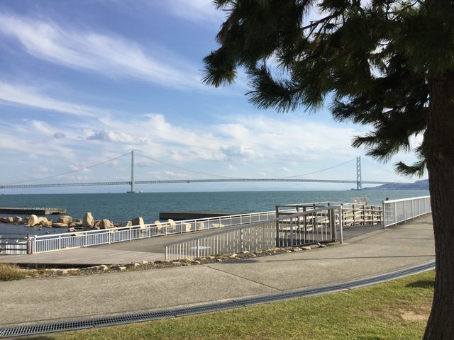 ���΂̊C�݉����̓�_�������ف@�l�ۉԒd