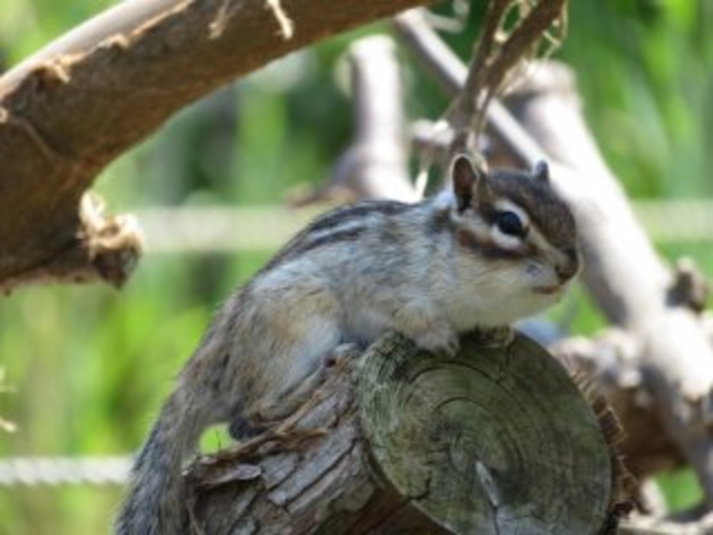 関東の動物園 植物園ランキングtop10 じゃらんnet